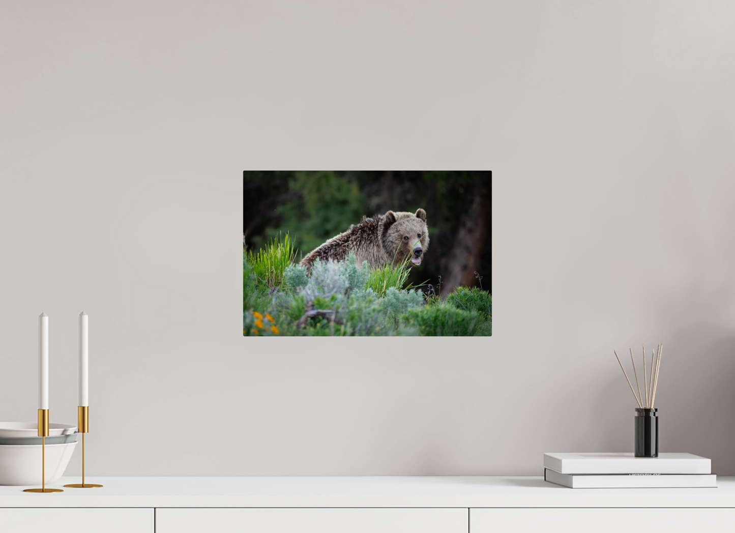 15 x 10″, Metal "Gentle Yawn" - Grizzly Bear