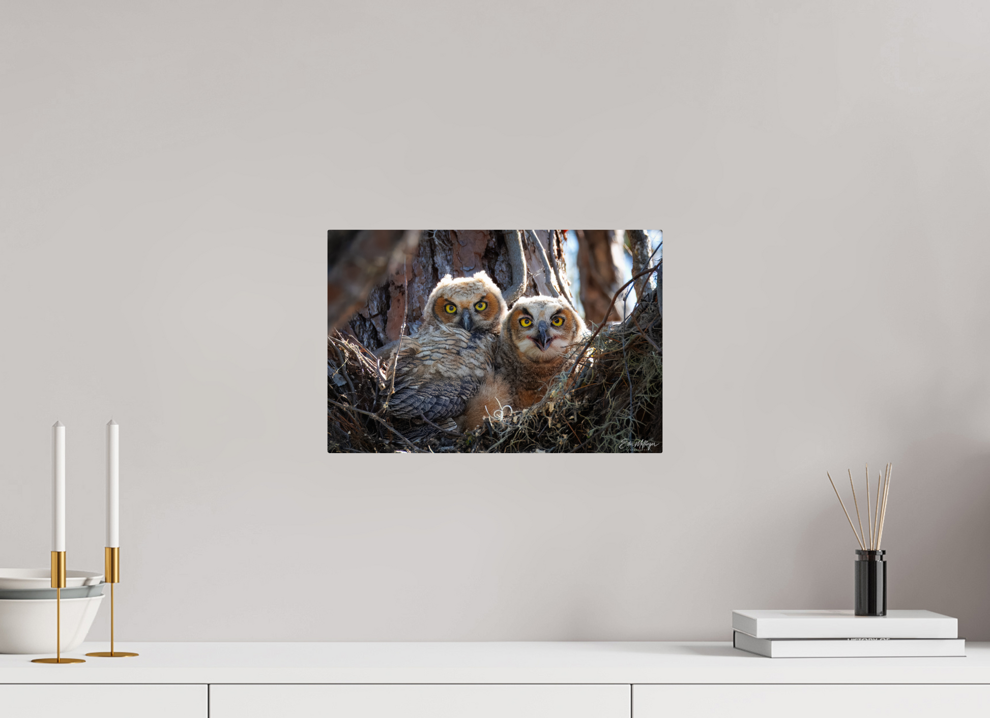 15 x 10″, Metal "Hidden in the Pines" - Great Horned Owlets
