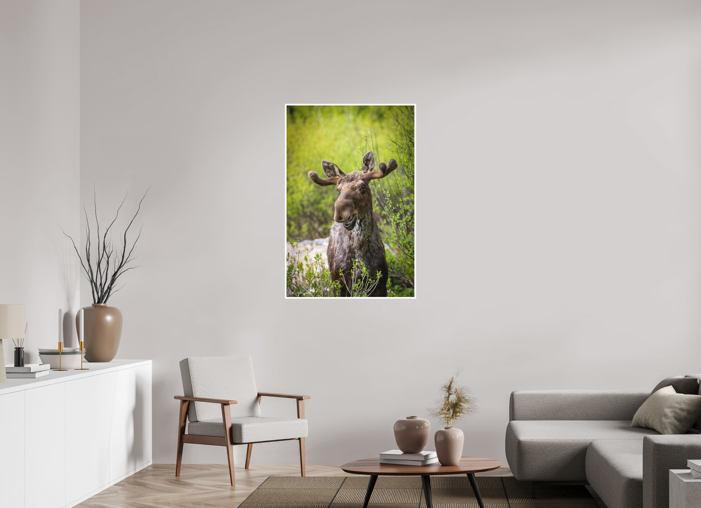 Smiling moose