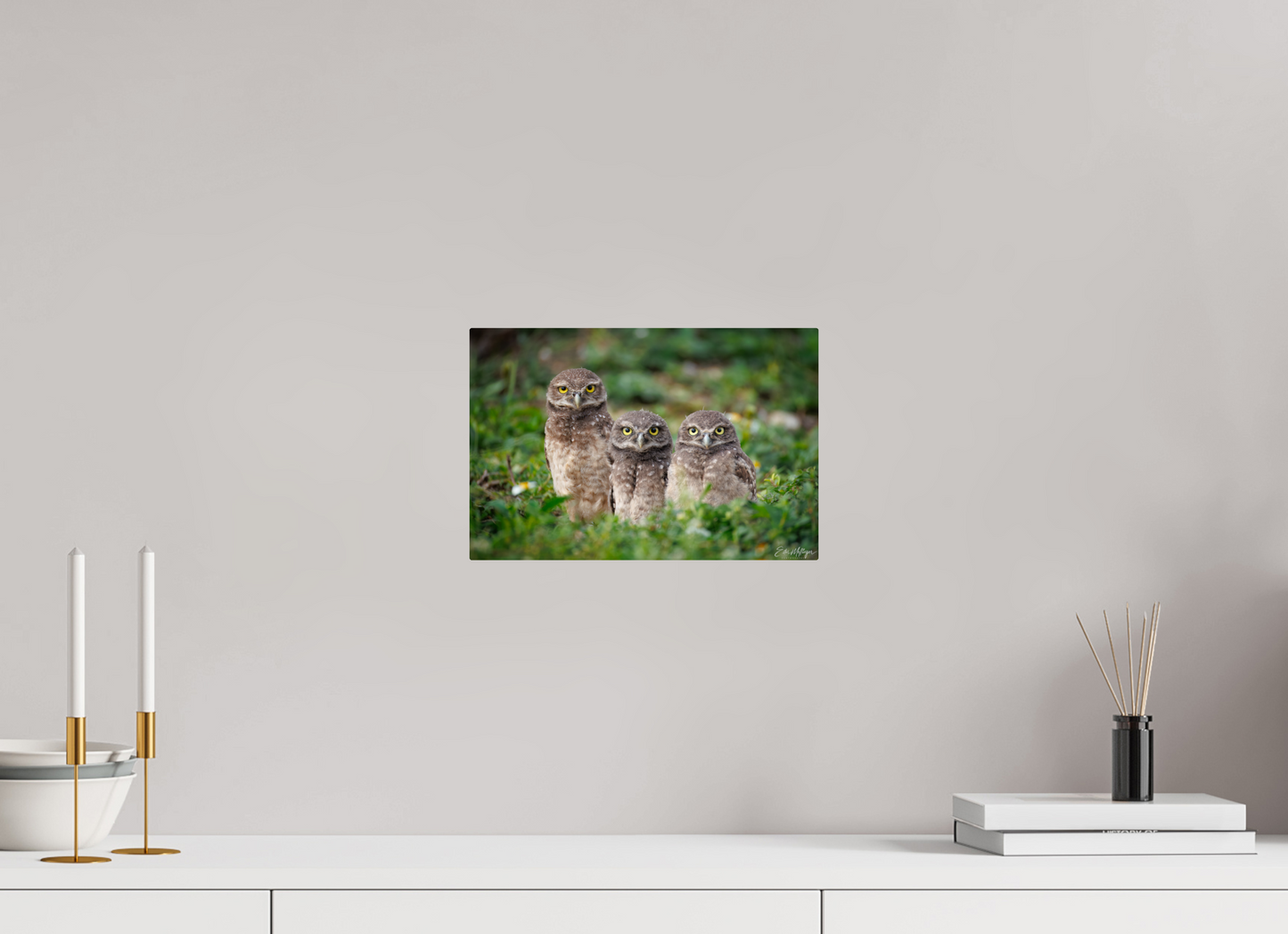 12 x 8″, Metal Three Little Burrowing Owls - Burrowing Owls