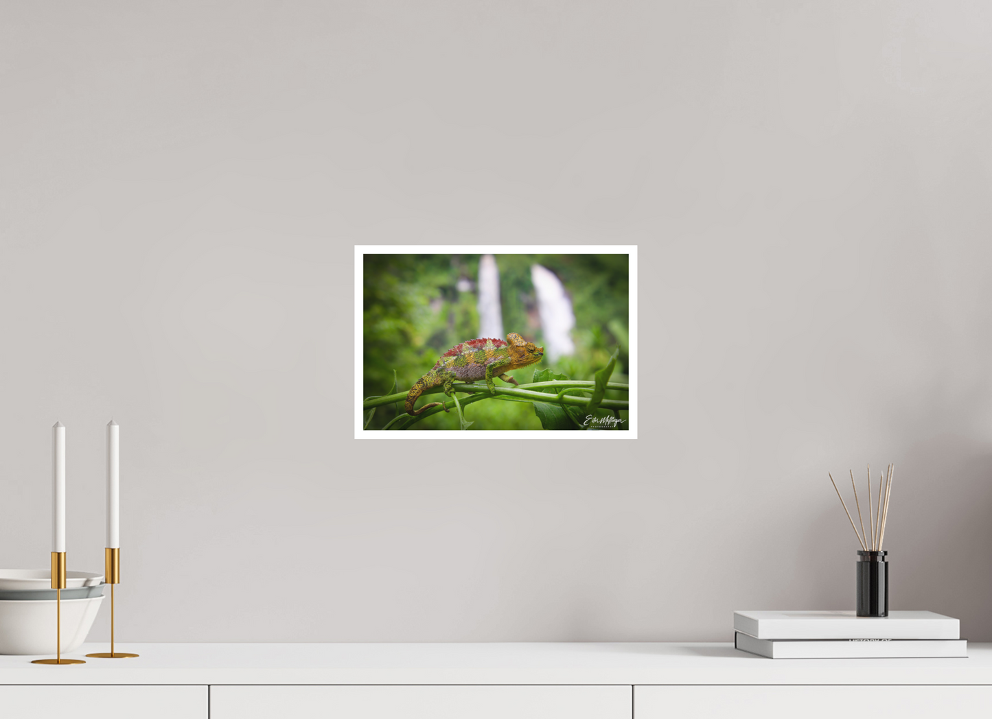 12 x 8″, Fine art print "Guardian of the Falls" - Chameleon in the Rainforest