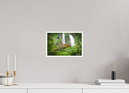 12 x 8″, Fine art print "Guardian of the Falls" - Chameleon in the Rainforest