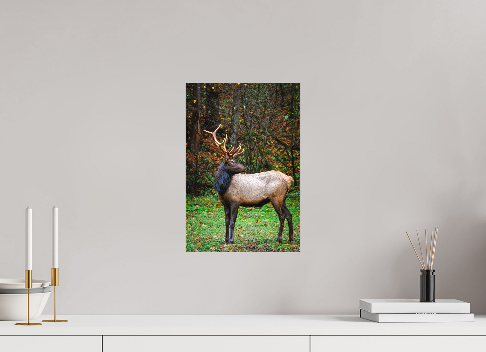 10 x 15″, Canvas "Guardian of the Meadow" - Elk
