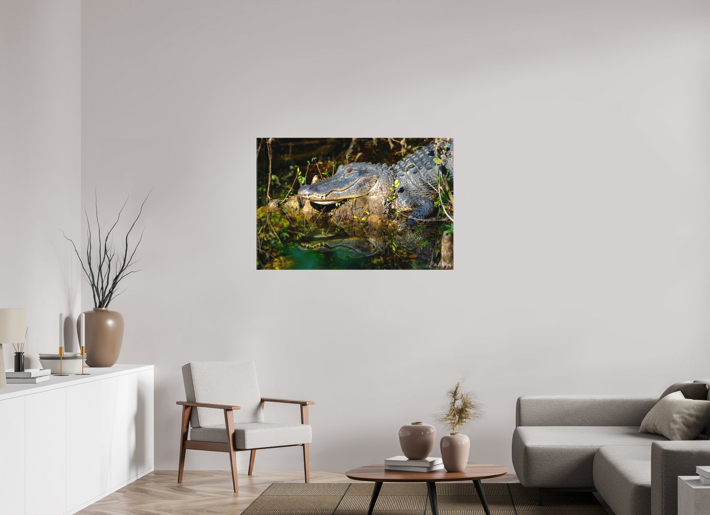 45 x 30″, Canvas "Shadow of the Cypress" - American Alligator