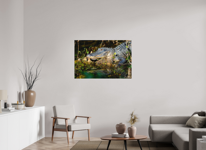 45 x 30″, Canvas "Shadow of the Cypress" - American Alligator