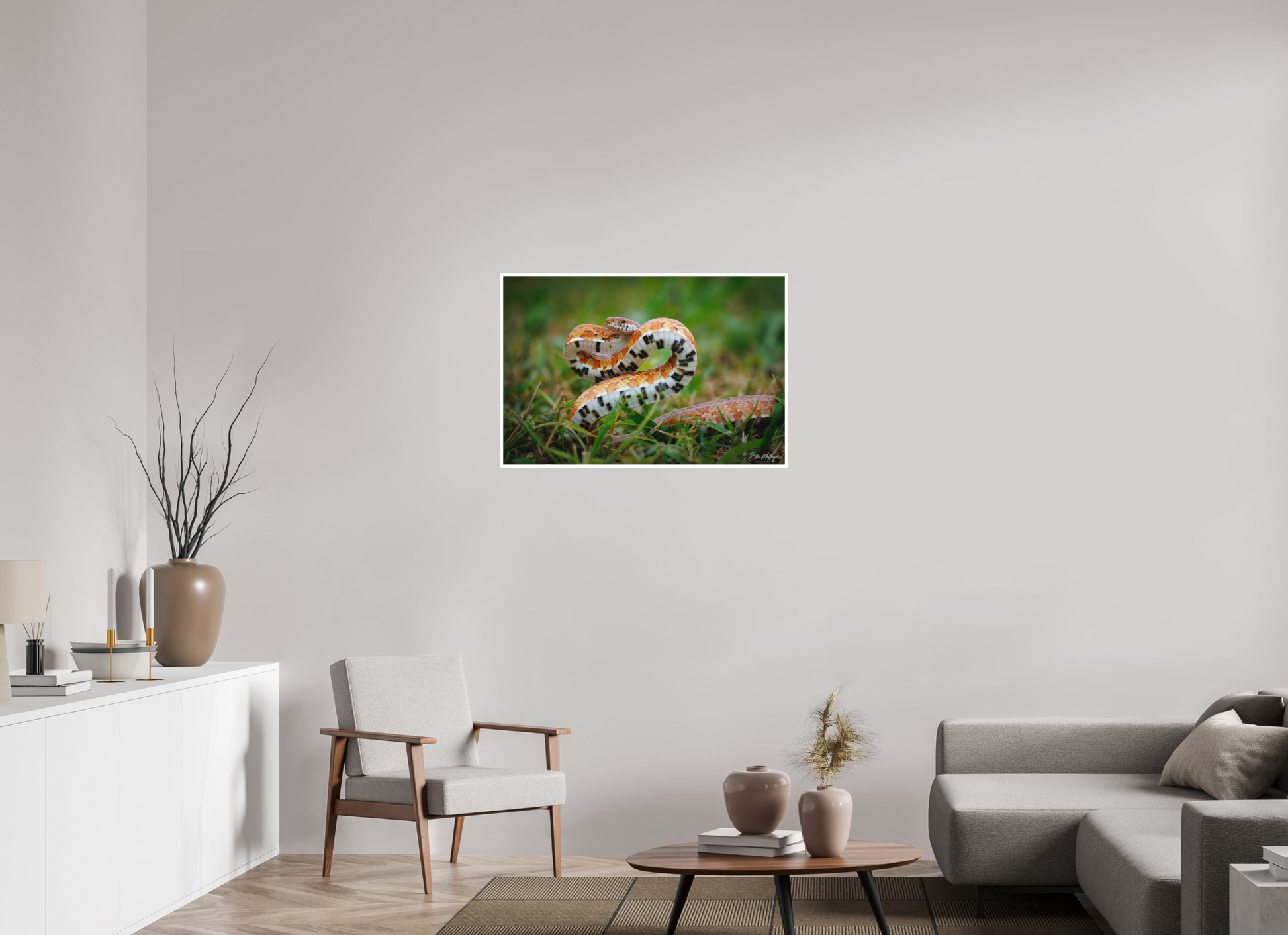 36 x 24″, Fine art print "Wild Pattern" - Florida Corn Snake