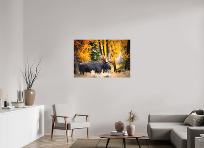 45 x 30″, Canvas "Majesty in the rain" - Bull moose