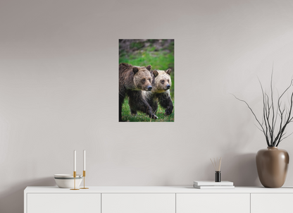 16 x 24″, Canvas "Rainfall Stroll" - Grizzly Bears
