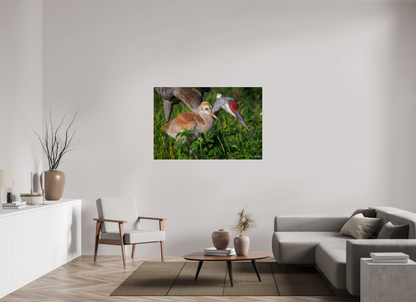 54 x 36″, Acrylic "Guiding the Next Generation" - Sandhill Cranes