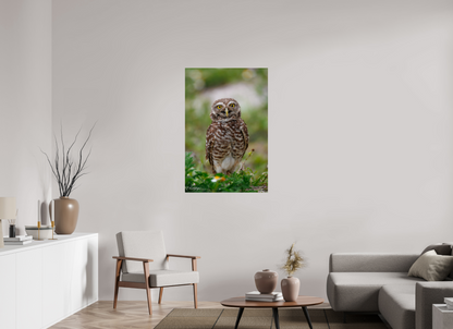 30 x 45″, Acrylic "Wide-Eyed Wonder" - Burrowing Owl
