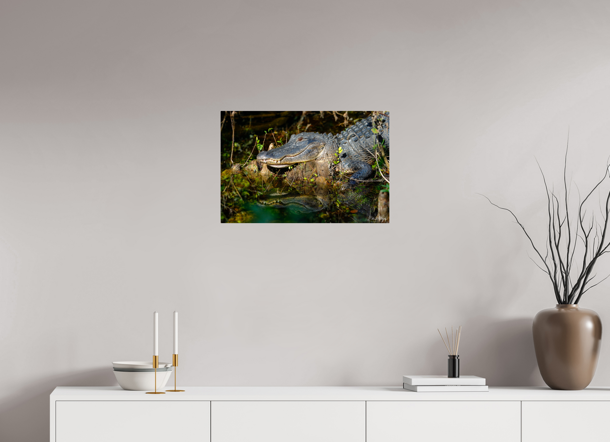 24 x 16″, Acrylic "Shadow of the Cypress" - American Alligator