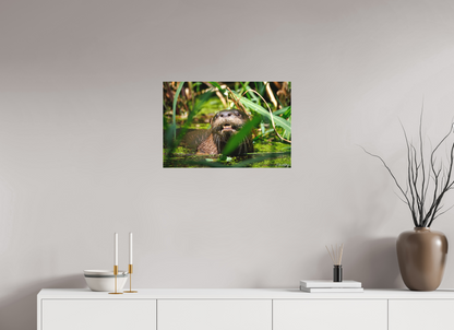 24 x 16″, Canvas "Swamp Watcher" - American river otter