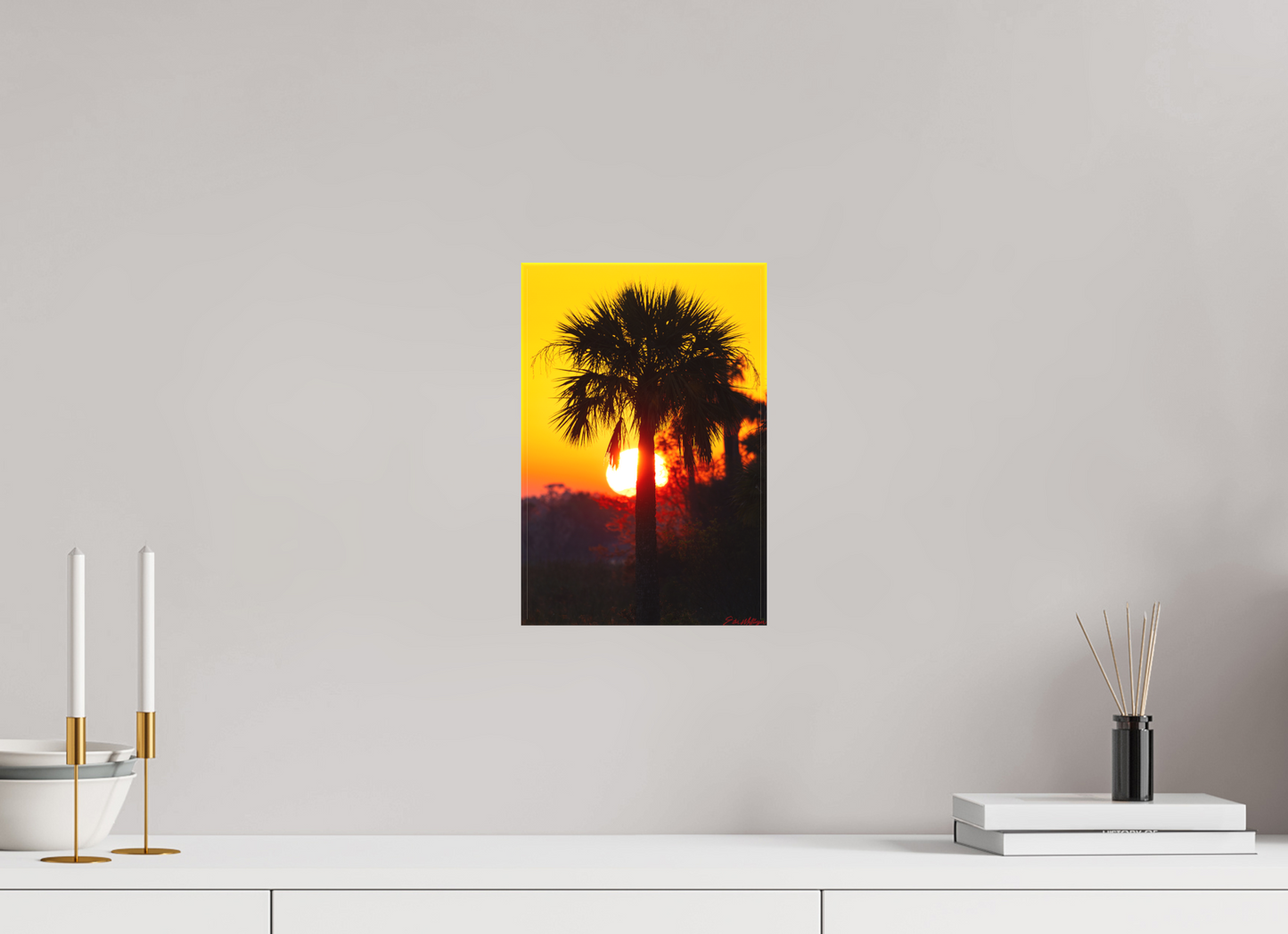 8 x 12″, Canvas "Florida Awakens"