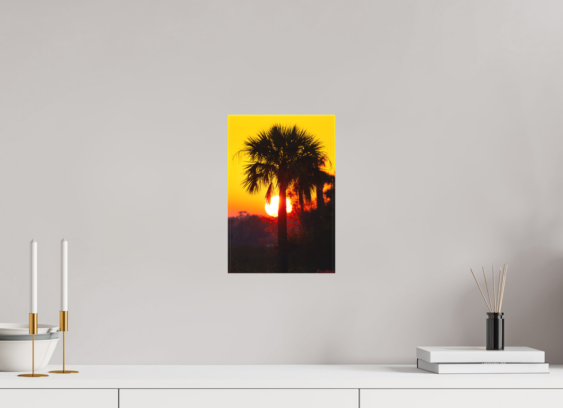 8 x 12″, Canvas "Florida Awakens"