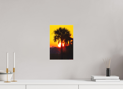 8 x 12″, Canvas "Florida Awakens"