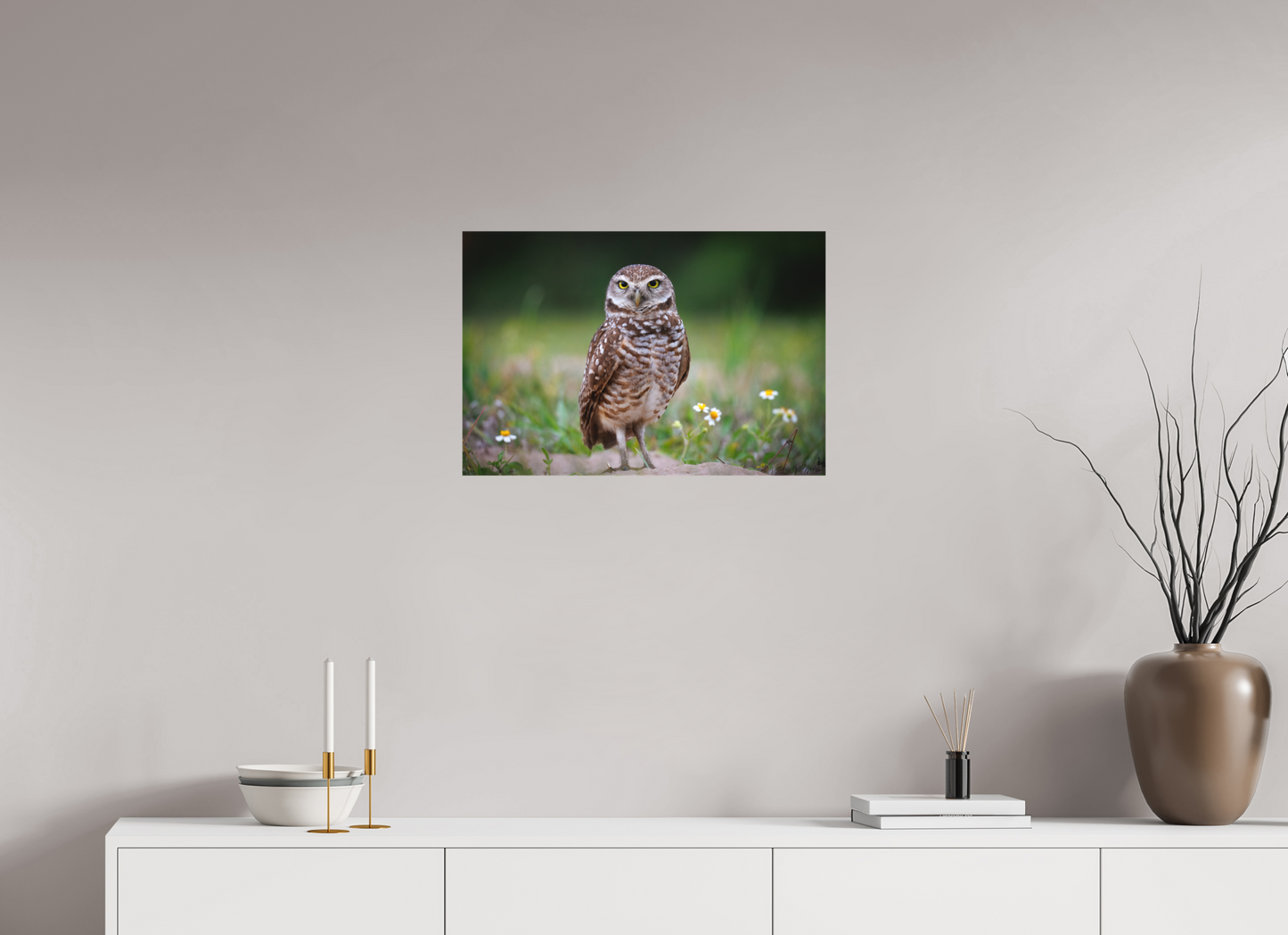 Burrowing owl stare down