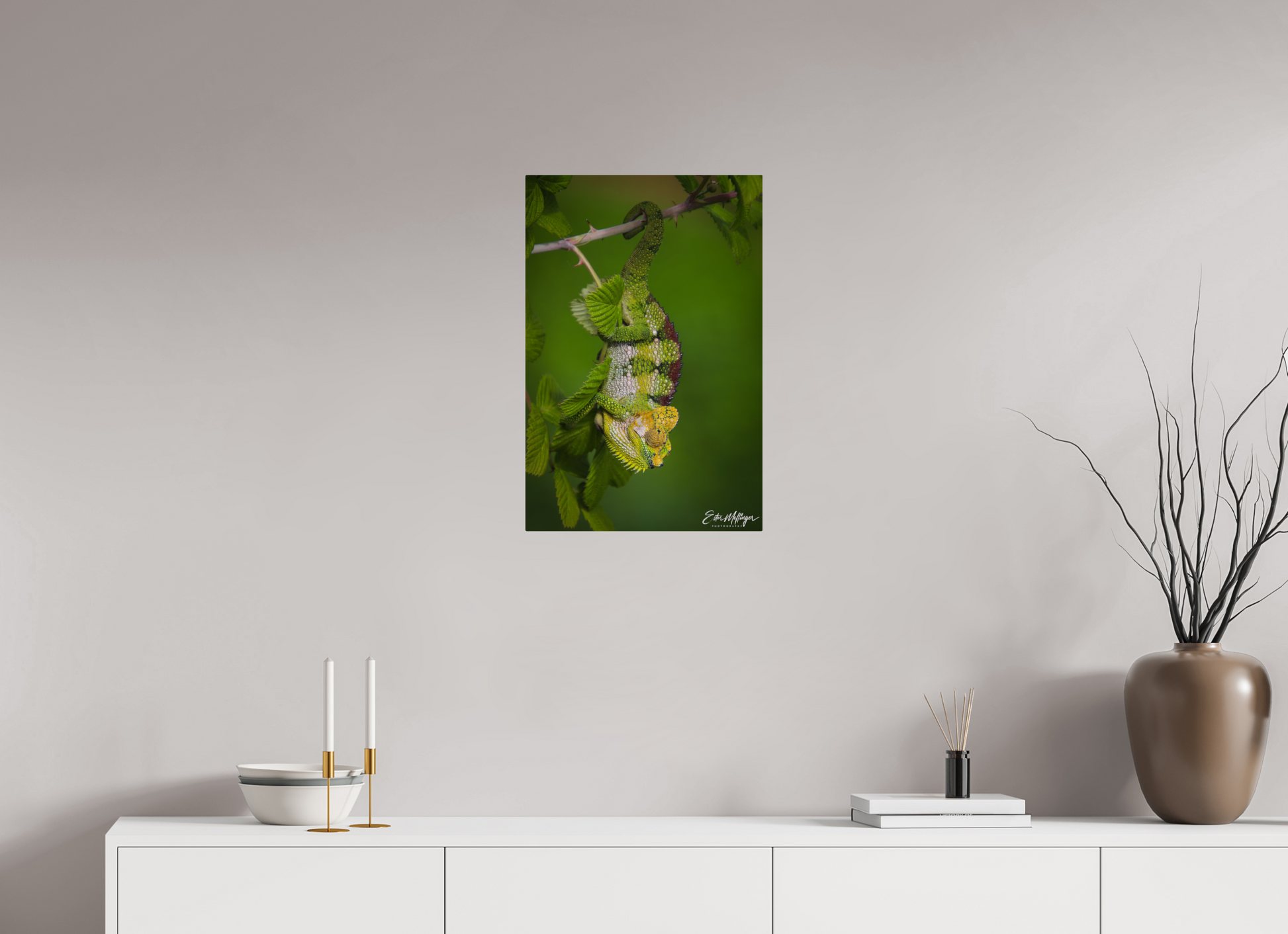 16 x 24″, Metal "Emerald Acrobat" - Chameleon of the Rainforest