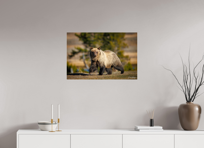 30 x 20″, Acrylic "River Run" - Grizzly Bear