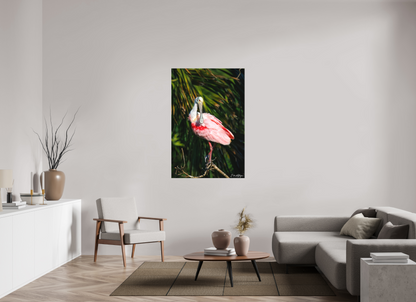 36 x 54″, Canvas "Blush of the Wetlands" - Roseate Spoonbill