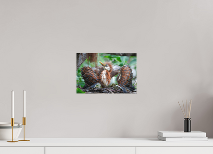 12 x 8″, Canvas "Finding My Wings" - Tricolored Heron