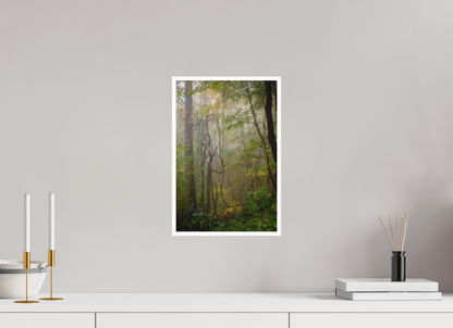 10 x 15″, Fine art print "The Heart of the Forest"
