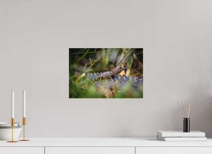 15 x 10″, Canvas "Backseat Explorer" - Baby Alligator