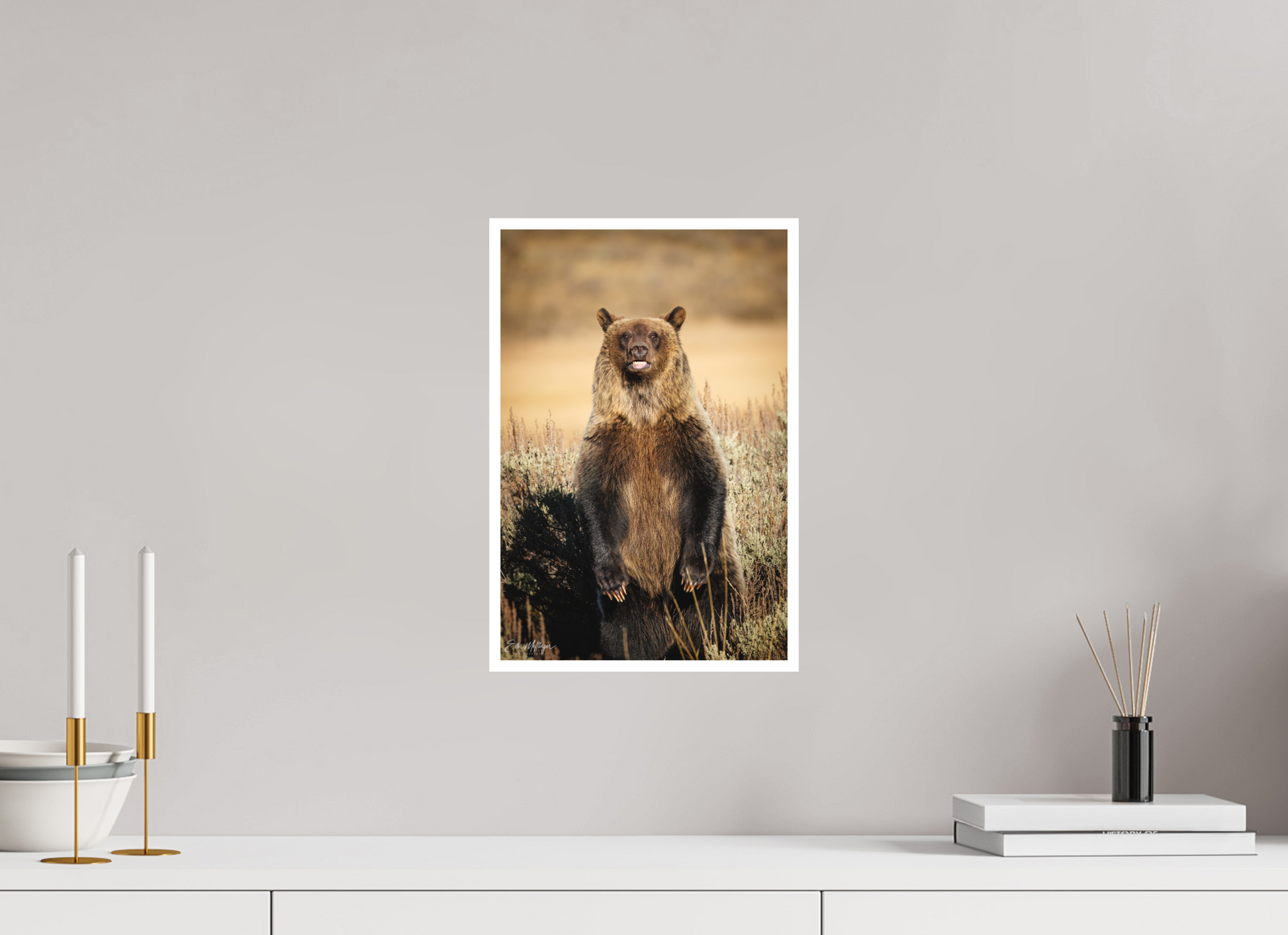 10 x 15″, Fine art print "Grin & Grizzly" - Grizzly Bear