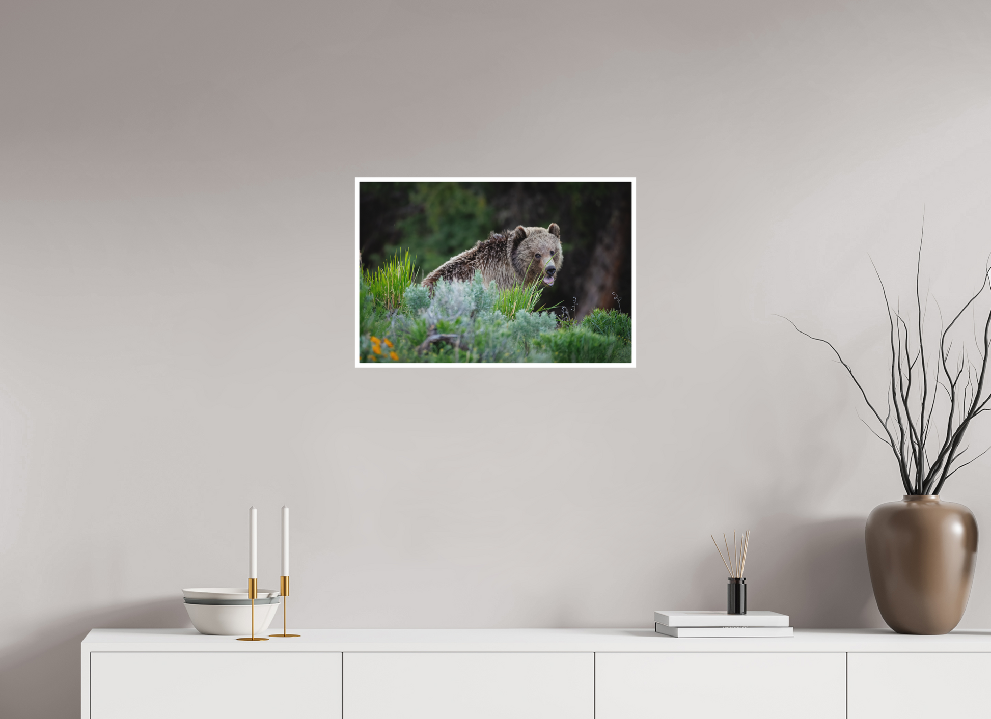 24 x 16″, Fine art print "Gentle Yawn" - Grizzly Bear