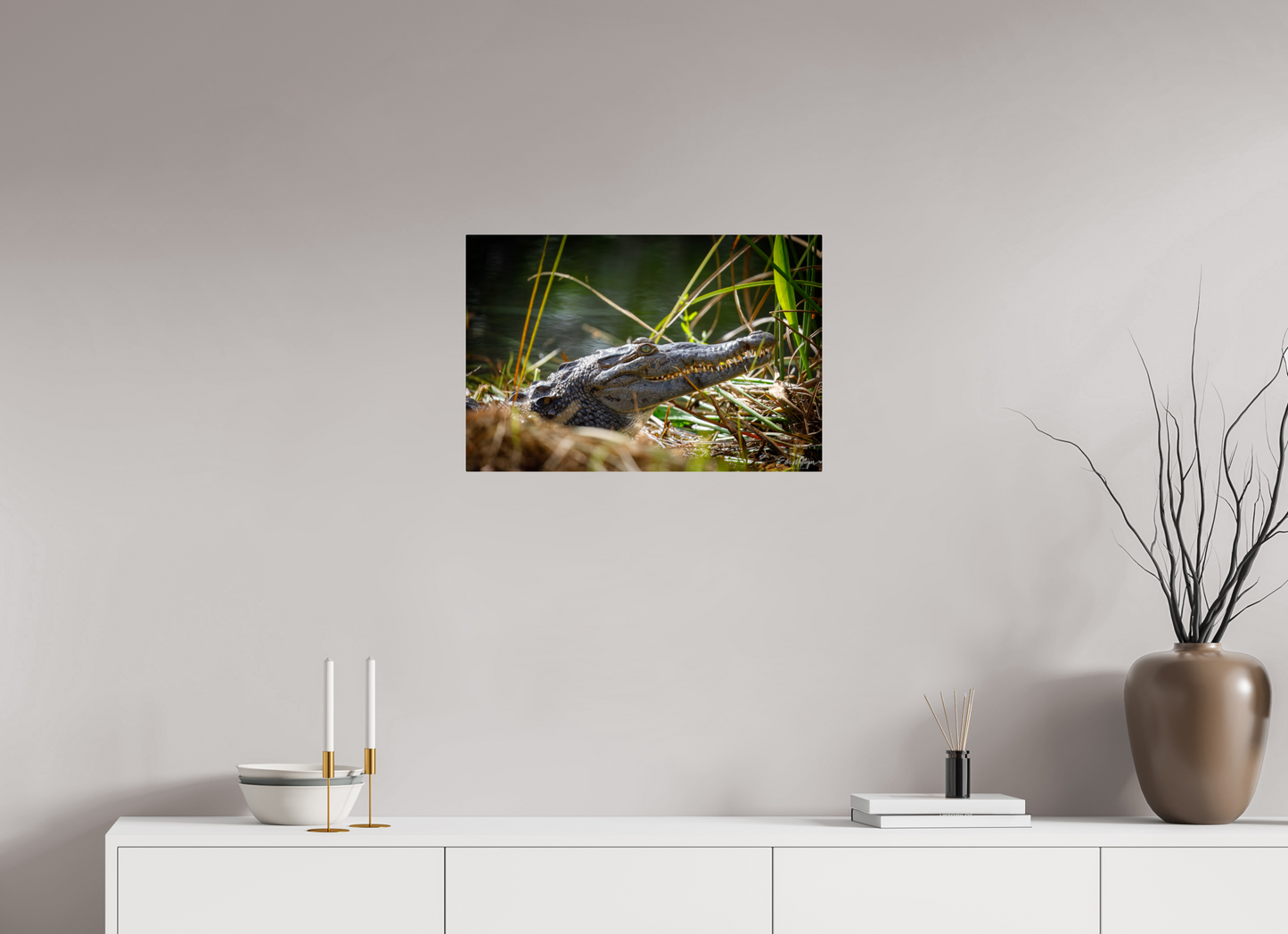 24 x 16″, Metal "Teeth of Time" - American Crocodile