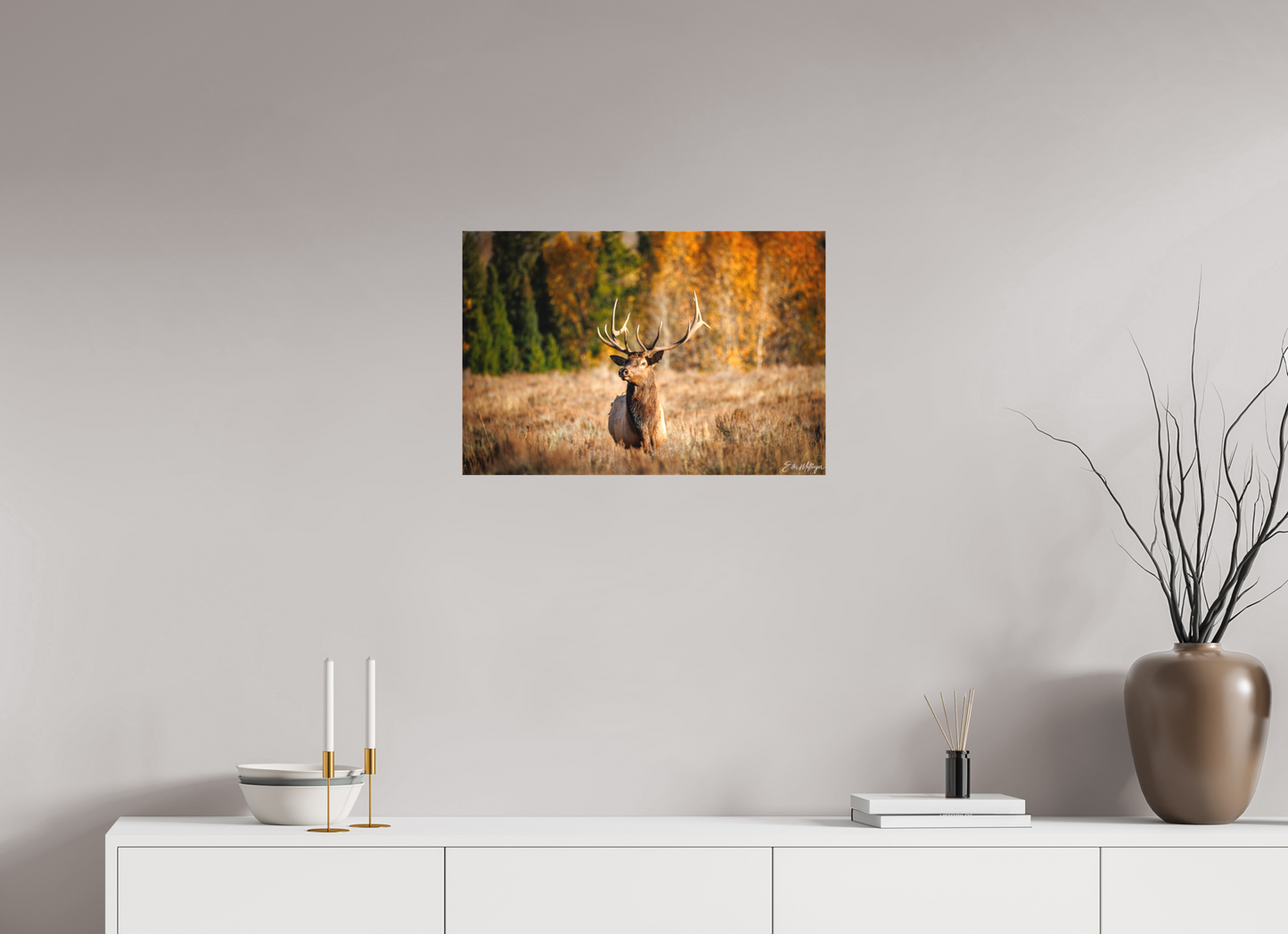 24 x 16″, Canvas "Autumn Sentinel" - Bull Elk