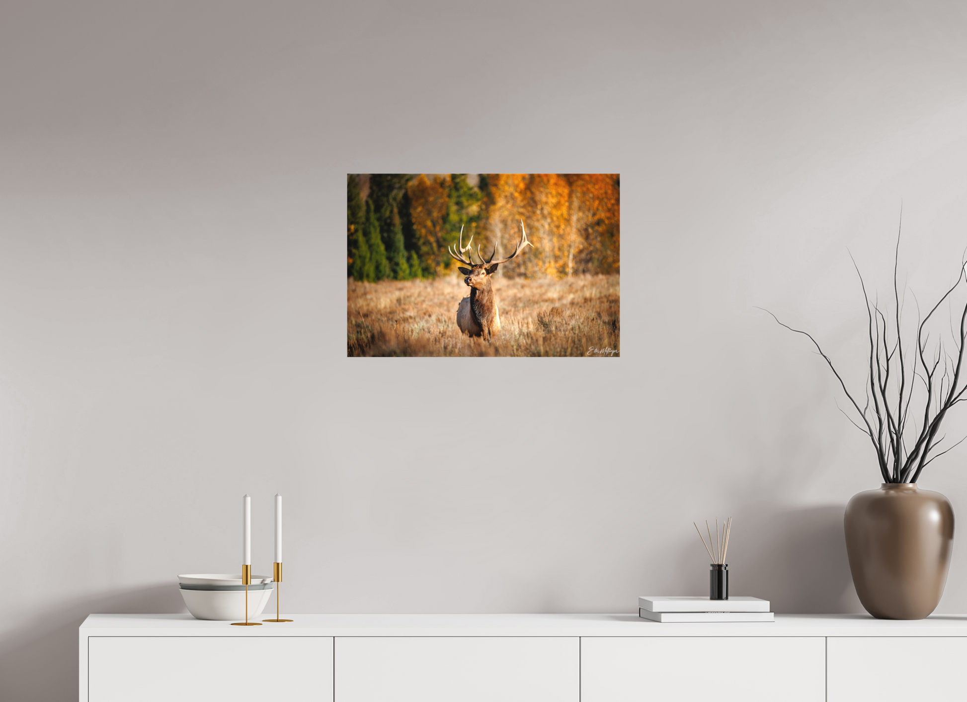 24 x 16″, Canvas "Autumn Sentinel" - Bull Elk