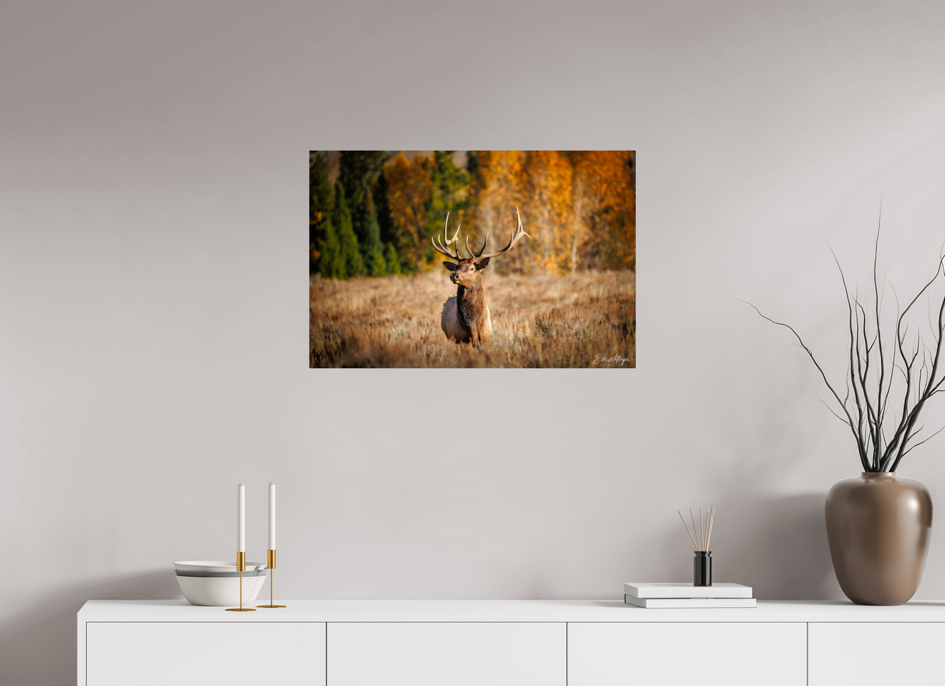 30 x 20″, Metal "Autumn Sentinel" - Bull Elk