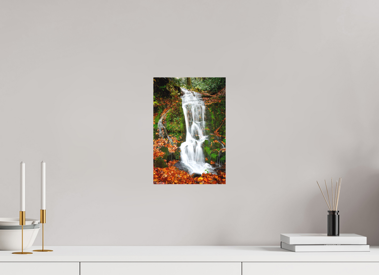 8 x 12″, Canvas "Where the Forest Flows"