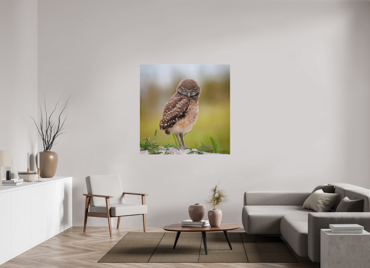 50 x 50″, Canvas "The Stare Down" - Burrowing owlet