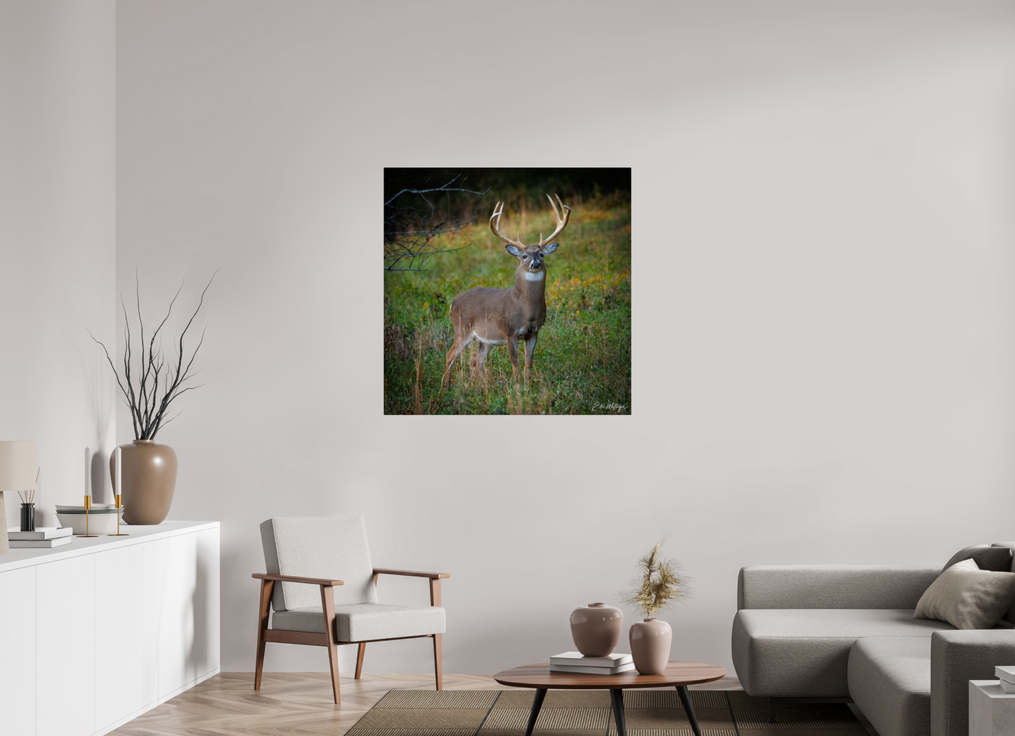 40 x 40″, Metal "Majesty of the cove" - White-tailed Buck