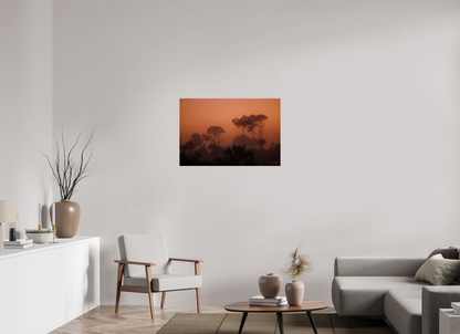36 x 24″, Metal "First Light" - Big Cypress Sunrise