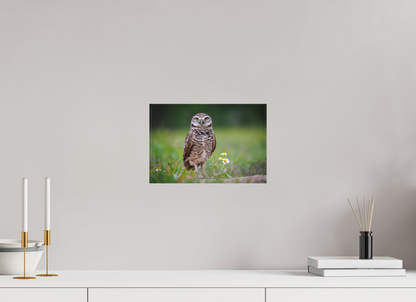 12 x 8″, Canvas "The Watcher" - Burrowing Owl