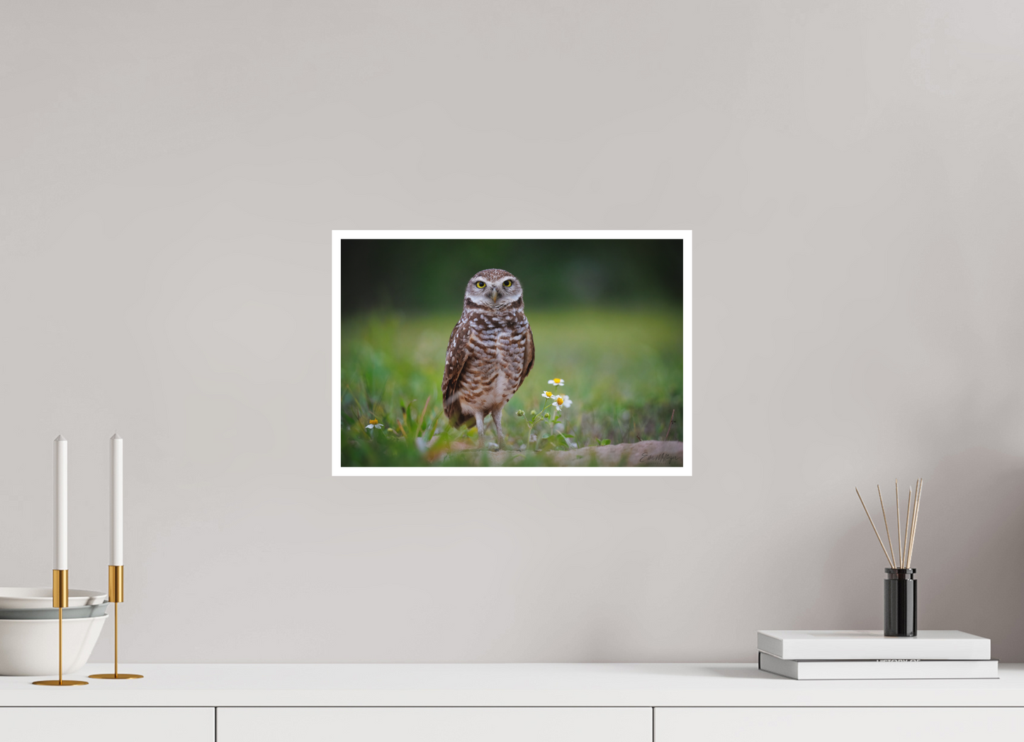 15 x 10″, Fine art print "The Watcher" - Burrowing Owl