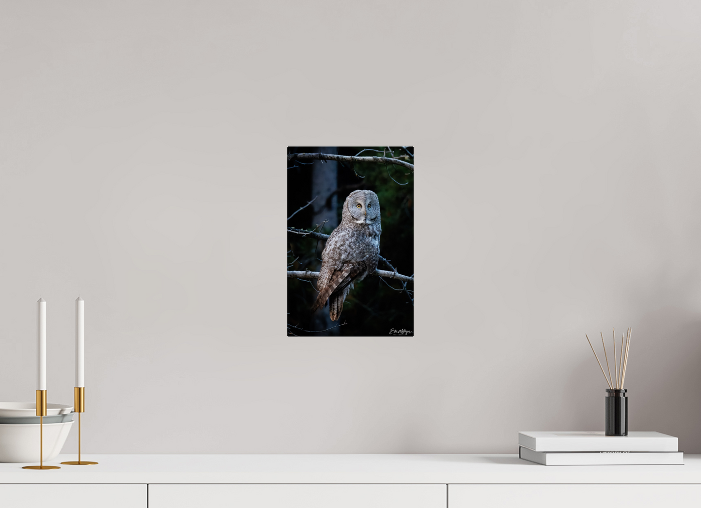 8 x 12″, Acrylic "Keeper of the Dawn" - Great Grey Owl