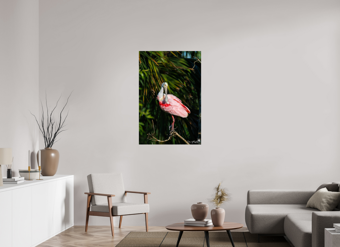 Preening spoonbill