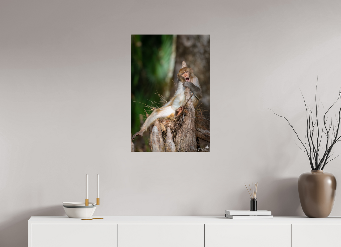 Singing monkey