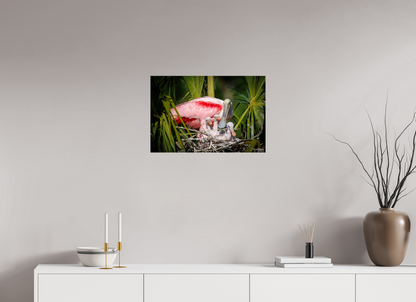 24 x 16″, Metal "The Nest Above" - Spoonbills