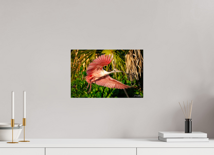 15 x 10″, Acrylic "Brushstrokes of Pink" - Roseate Spoonbill