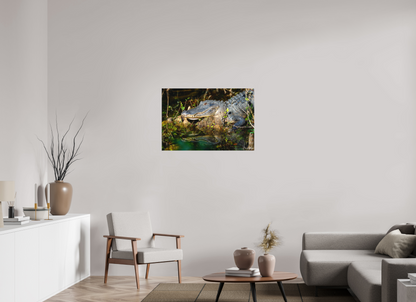 36 x 24″, Canvas "Shadow of the Cypress" - American Alligator