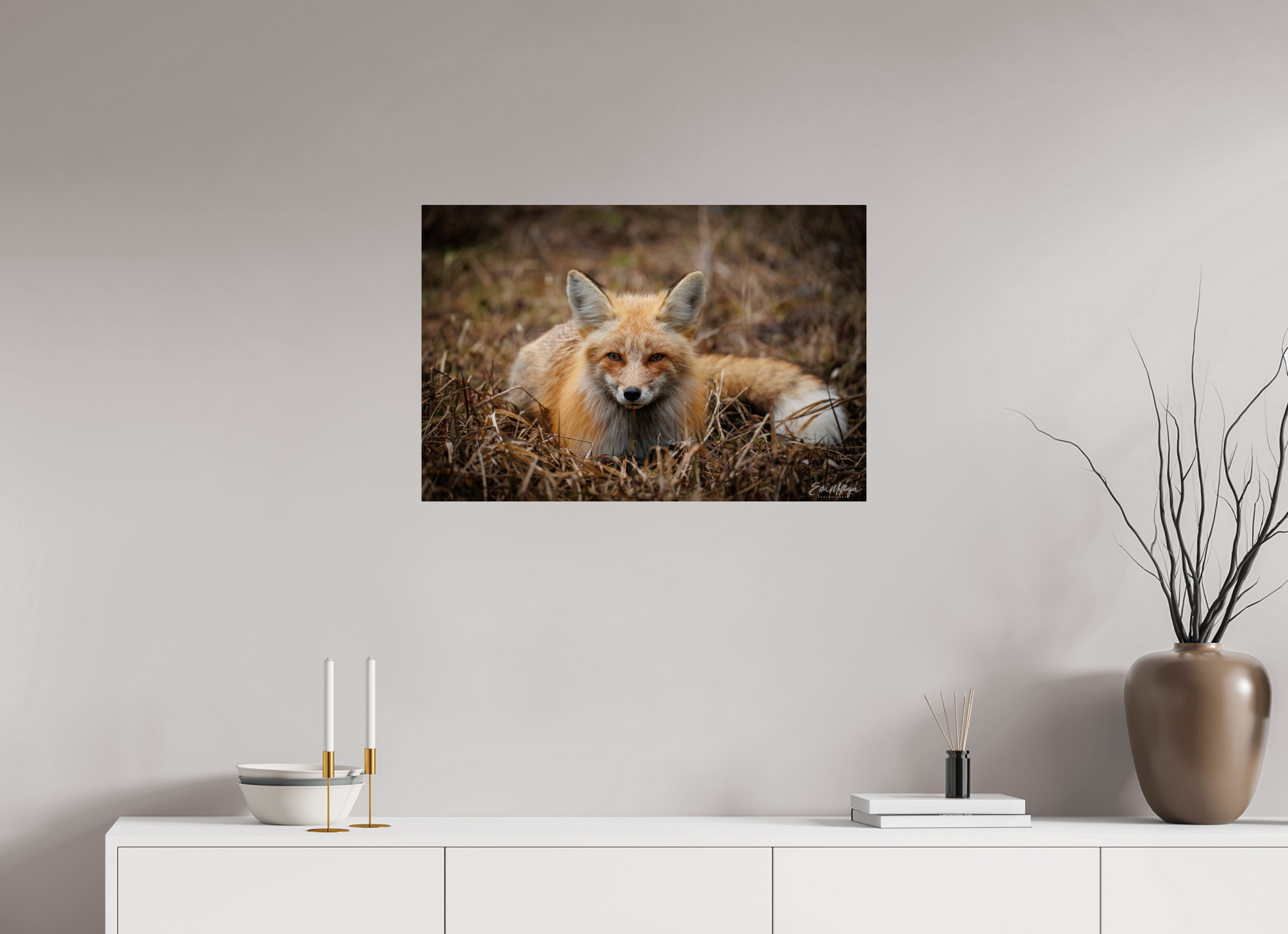 30 x 20″, Metal "Resting Ember" - Red Fox