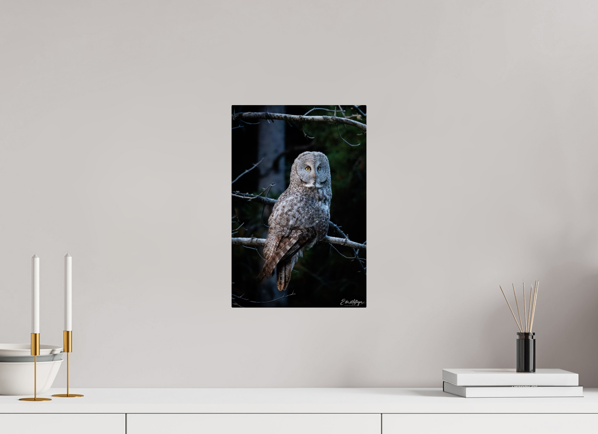 10 x 15″, Metal "Keeper of the Dawn" - Great Grey Owl