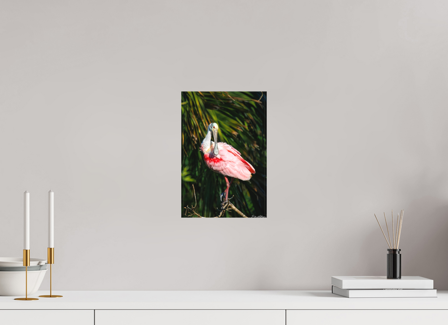 8 x 12″, Canvas "Blush of the Wetlands" - Roseate Spoonbill