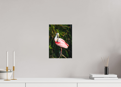 8 x 12″, Canvas "Blush of the Wetlands" - Roseate Spoonbill