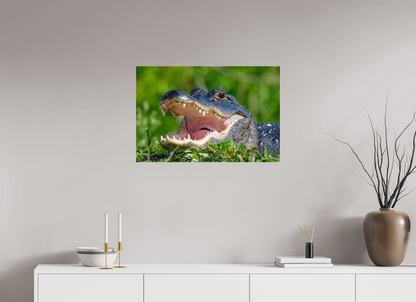 30 x 20″, Acrylic "Wide Open" - American Alligator