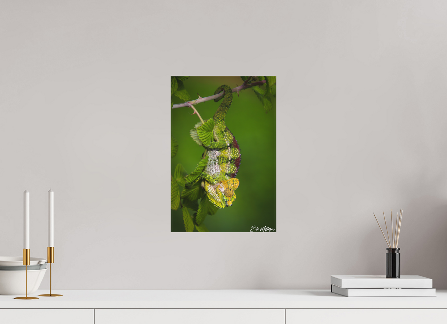 10 x 15″, Canvas "Emerald Acrobat" - Chameleon of the Rainforest